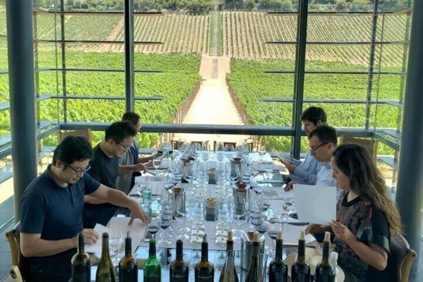 Errazuriz Wine Tasting