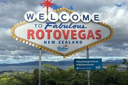 Private Rotorua Day Tour with Lunch from Auckland