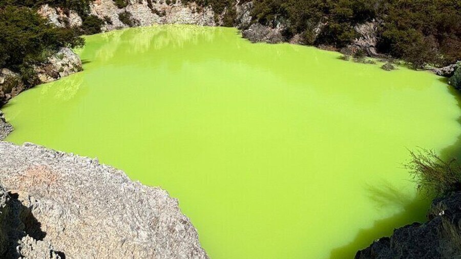 Private Rotorua Tour Waiotapu & Redwood forest & Polynesian spa