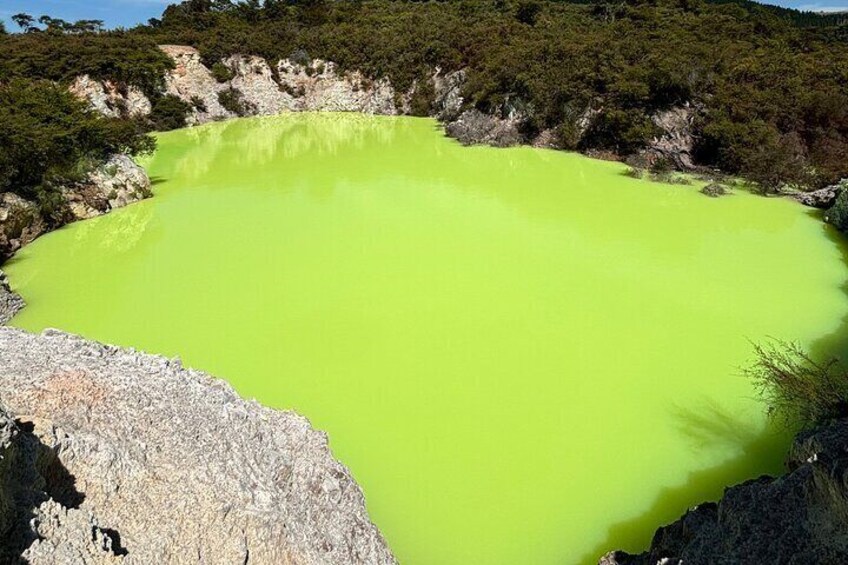 Private Rotorua Tour Waiotapu & Redwood forest & Polynesian spa