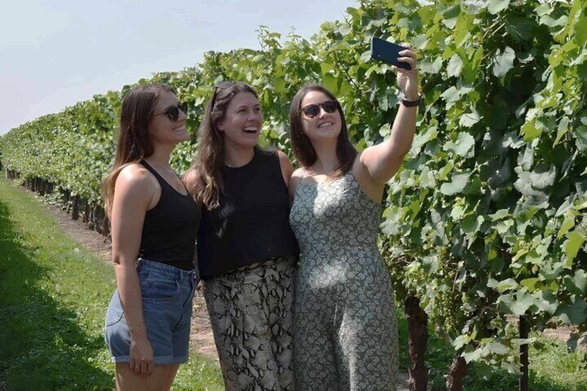 Try 3 samples of their wine including Niagara's specialty icewine