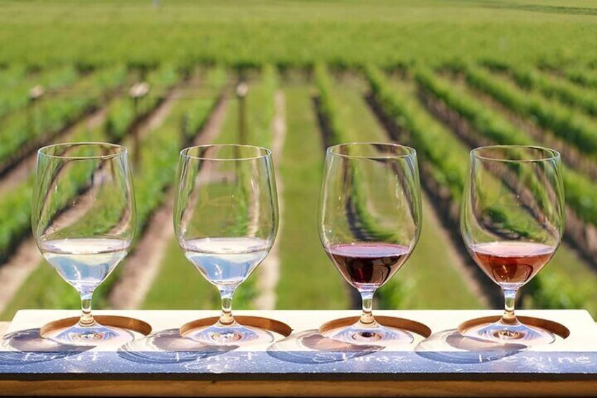 Try 3 samples of their wine including Niagara's specialty icewine