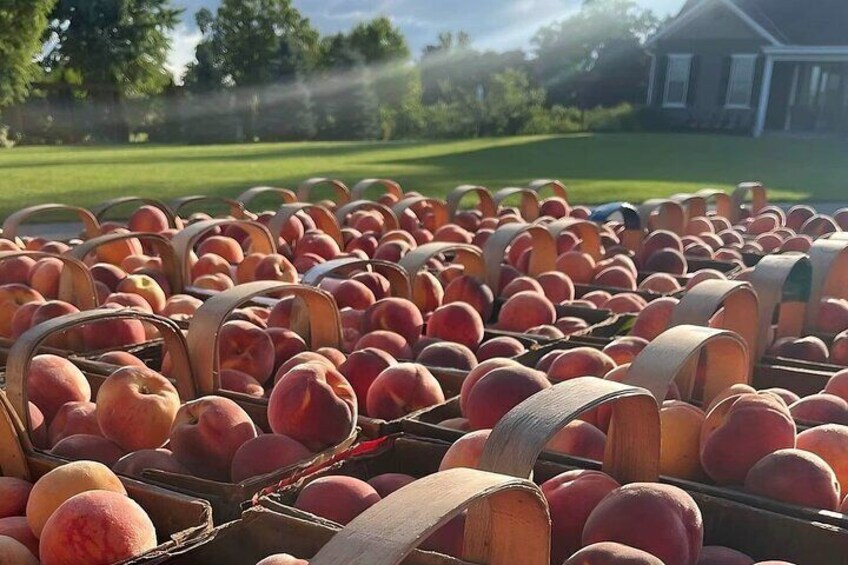 Try homegrown fruits at Walker's Country Market!