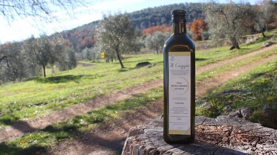 Evo Oil Experience with Oil Tasting and Lunch in the Nature