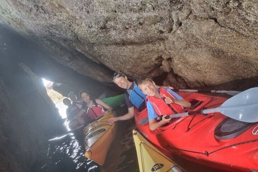 Guided Wildlife and Sea Cave Kayak Safari in English Riviera