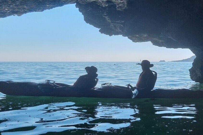 Guided Wildlife and Sea Cave Kayak Safari in English Riviera