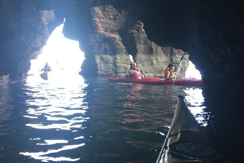 Guided Wildlife and Sea Cave Kayak Safari in English Riviera