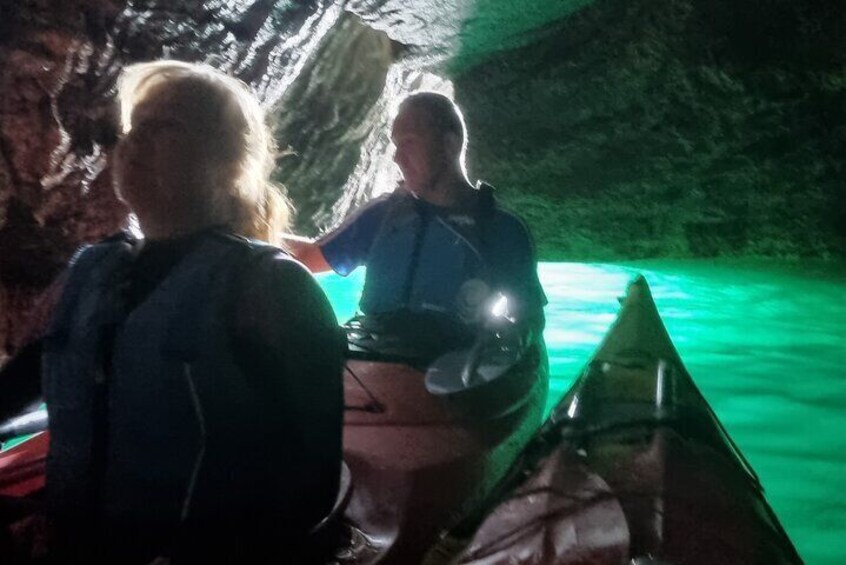 Guided Wildlife and Sea Cave Kayak Safari in English Riviera