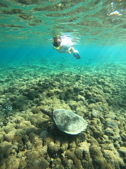 Half-Day Private Guided Snorkeling Trip By Glass Bottom Boat