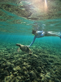 Perjalanan Snorkeling Berpemandu Pribadi Setengah Hari Dengan Perahu Kaca B...