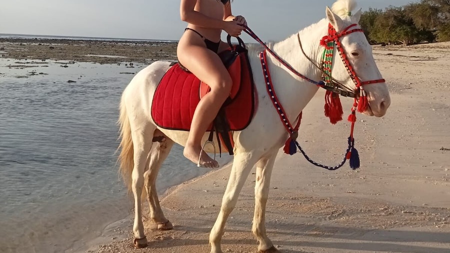 Horse Ride On The Beach In Gili Trawangan