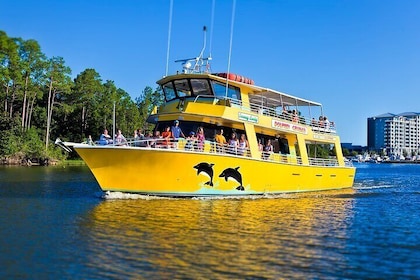 90 Minutes Dolphin Cruise from Orange Beach