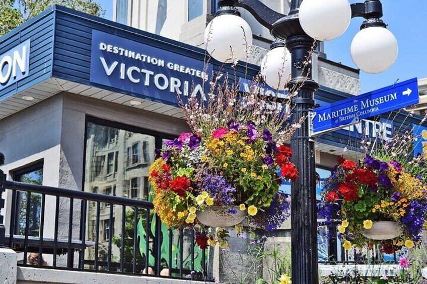 Hanging Baskets