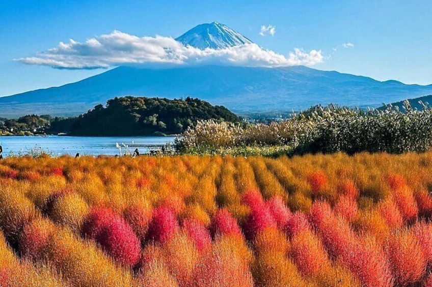 Mt Fuji and Hakone Private Day Tour with English Speaking Driver