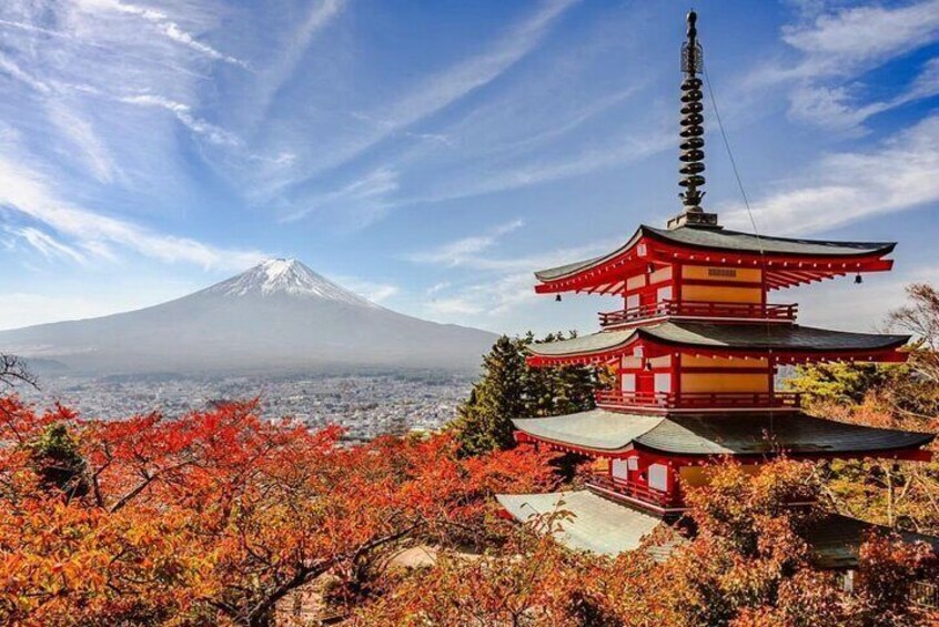 Mt Fuji and Hakone Private Day Tour with English Speaking Driver