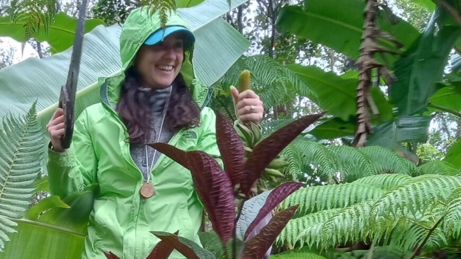 Big Island Jungle Tour with Banana and Guava Green Tea