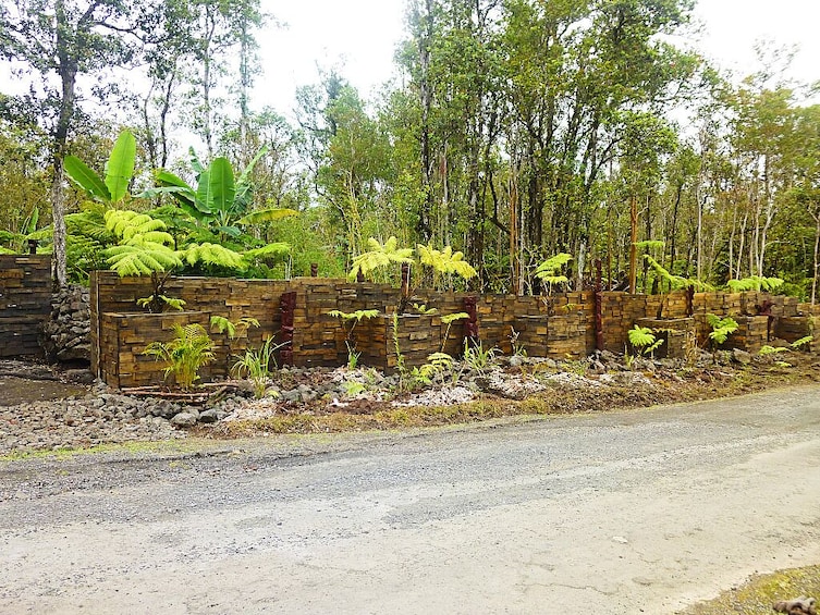 Building with Pallets in the Hawaiian Jungle