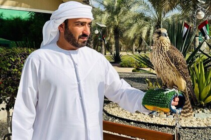 Falcon Hospital Tour with Transport