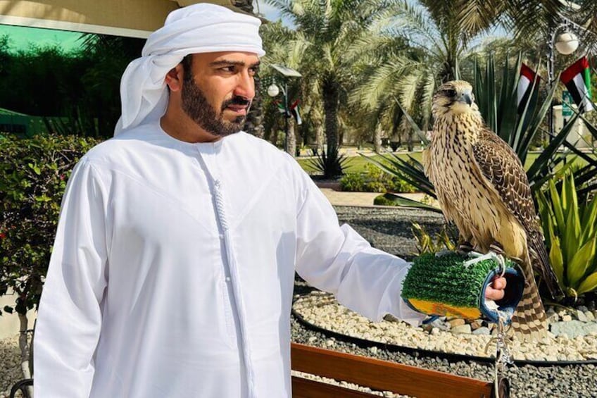 Falcon