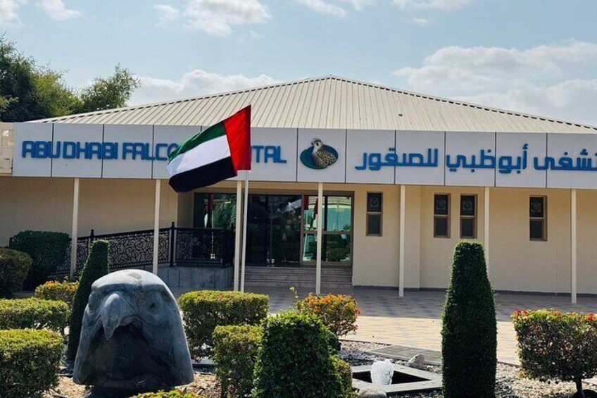 Falcon hospital 