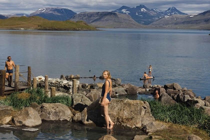 Sorgenti termali di Hvammsvik: Pacchetto d'ingresso