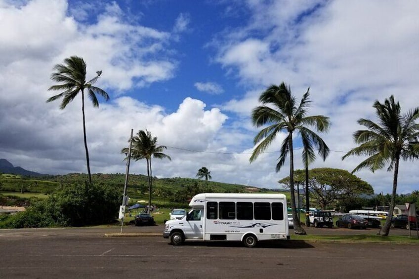 Waimea Canyon and Southside Tour in Nawiliwili Kauai