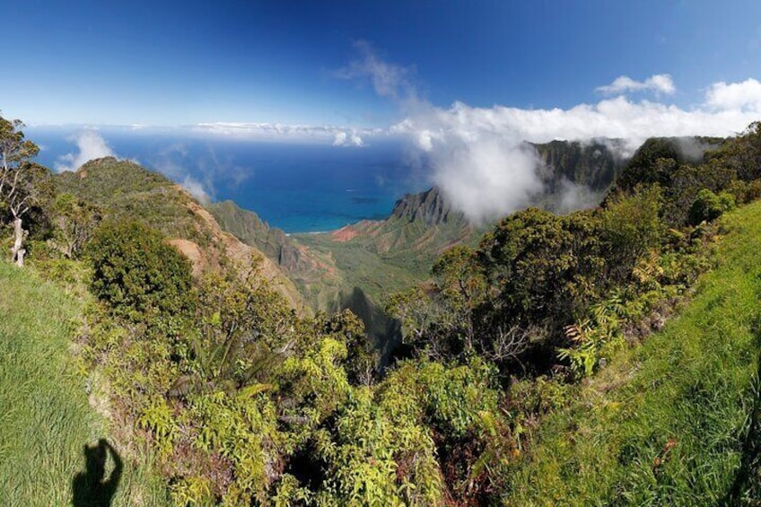 Waimea Canyon and Southside Tour in Nawiliwili Kauai 