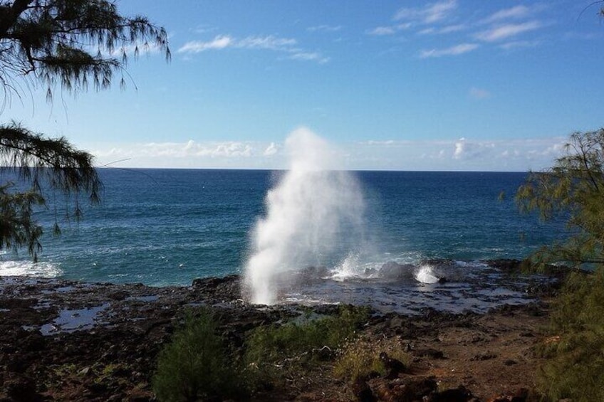 Kauai Tour - Waimea Canyon and Southside Excursion
