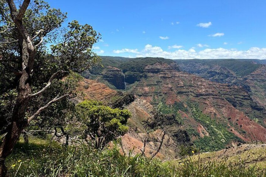 Kauai Tour - Waimea Canyon Adventure Tour - Small Group