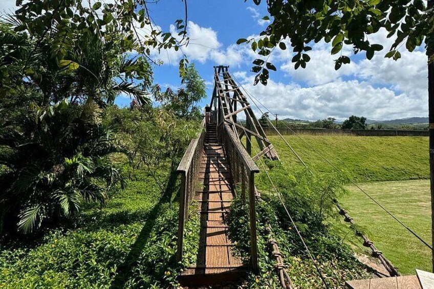 Kauai Tour - Waimea Canyon Adventure Tour - Small Group