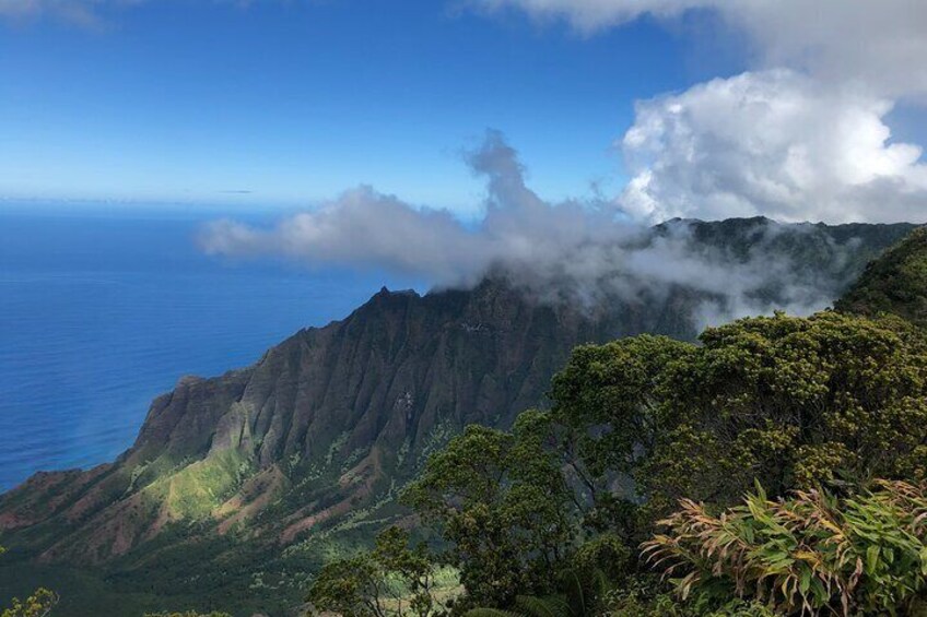 Kauai Tour - Waimea Canyon Adventure Tour - Small Group