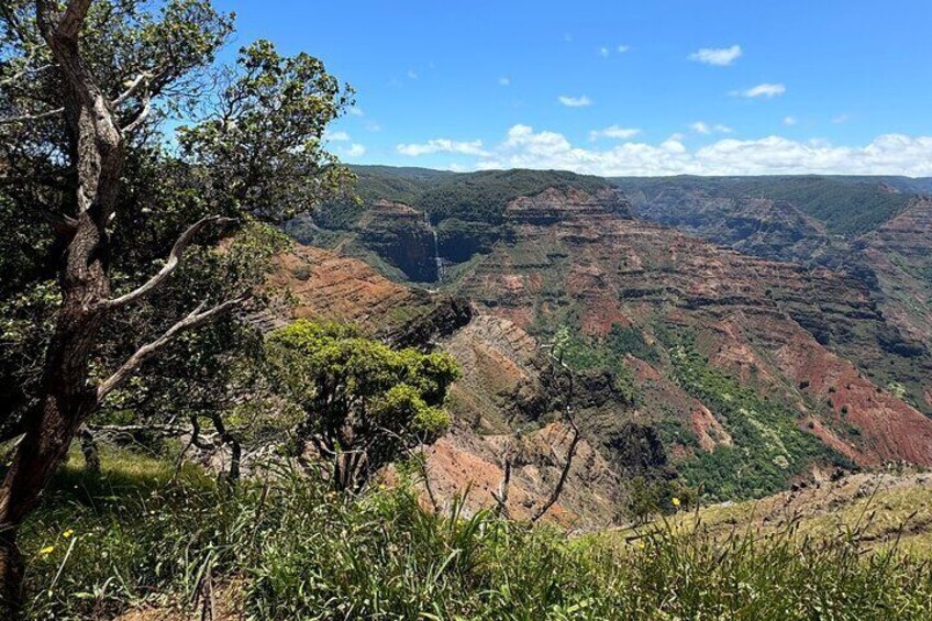 Kauai Tour - Waimea Canyon Adventure Tour - Small Group