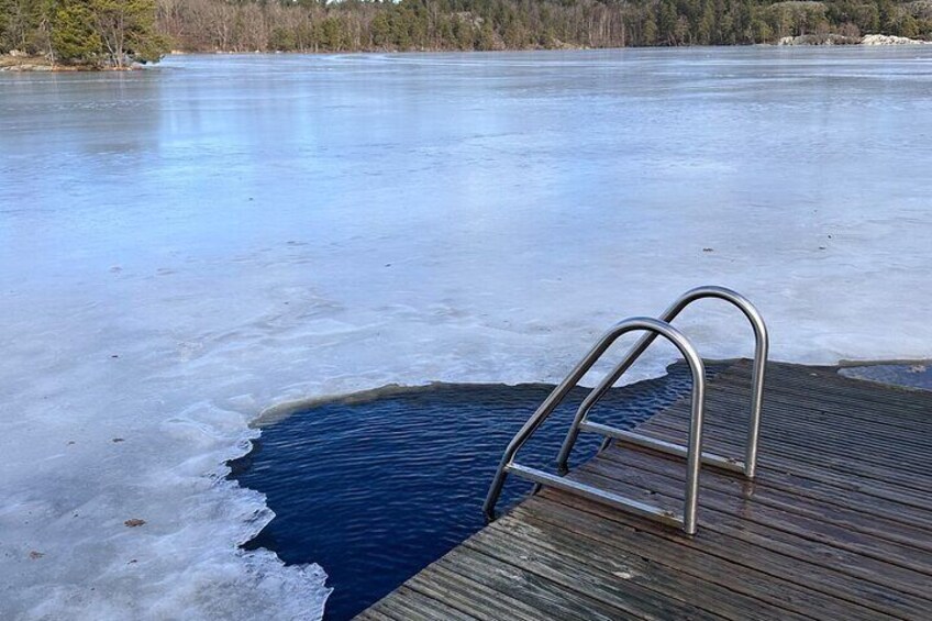 Morning Sauna and Icebathing with Forest hike in Stockholm Nature