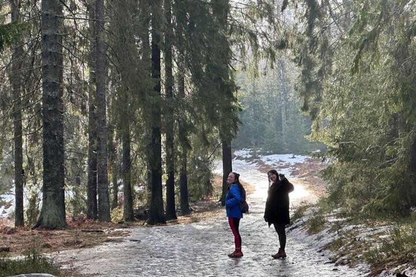 Morning Sauna and Icebathing with Forest hike in Stockholm Nature