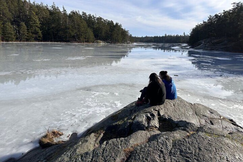 Morning Sauna and Icebathing with Forest hike in Stockholm Nature