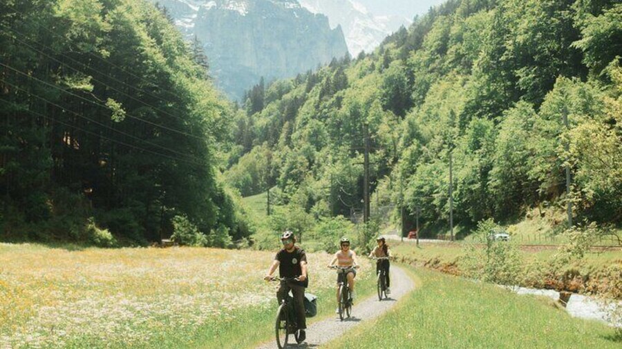 Interlaken Valley E-Bike Tour: Rivers, Lakes, Forests & Castles