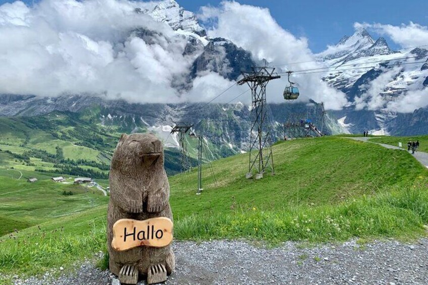Private Mountain Tour and Hike from Bern