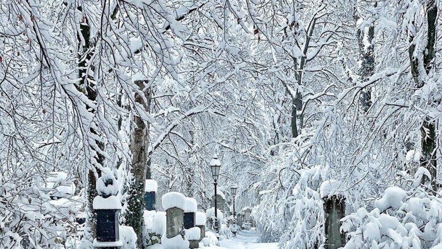 Death and Chocolate: Walking Tour of Munich's Old South Cemetery
