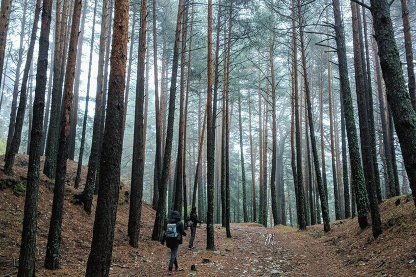 Madrid Hidden Mountains Walk