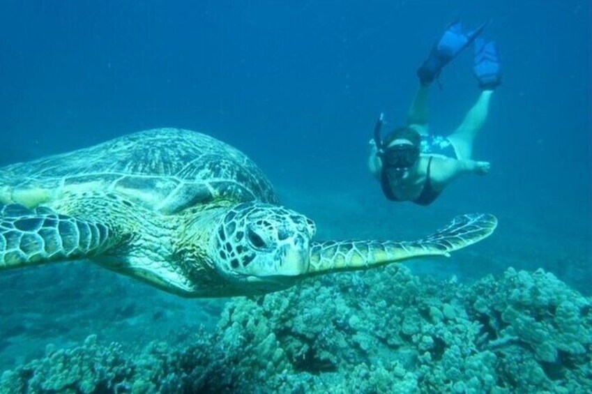 Clear Kayak and Snorkel Experience at Turtle Reef Olowalu