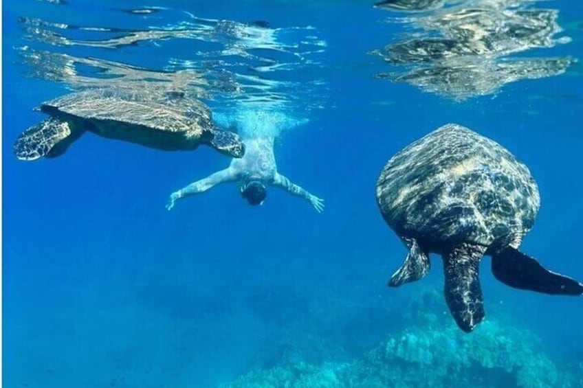 Clear Kayak and Snorkel Experience at Turtle Reef Olowalu