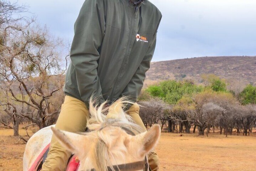Horseback Riding Safari from Johannesburg 