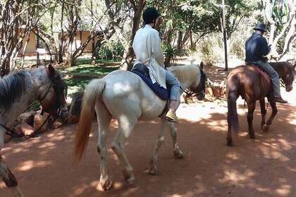 Horseback Riding Safari from Johannesburg
