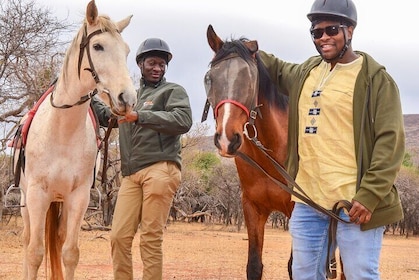 Horseback Riding Safari from Johannesburg