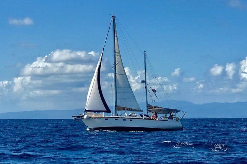  Nireas Sailing in Skiathos