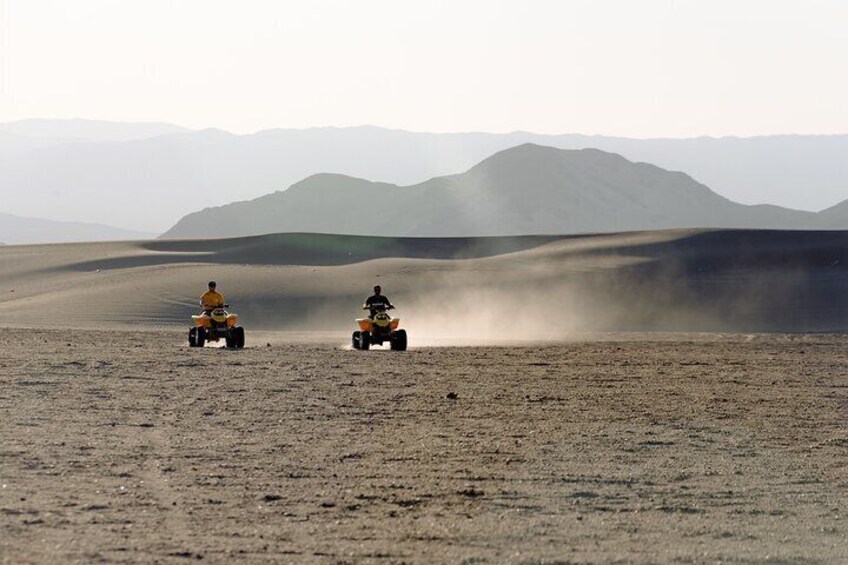 Quad and Dromedary with Dinner Show in Agafay Desert