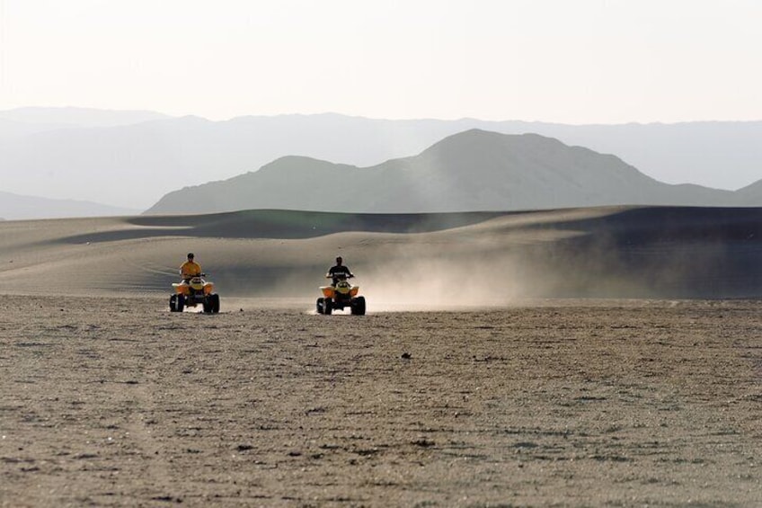 Quad and Dromedary with Dinner Show in Agafay Desert