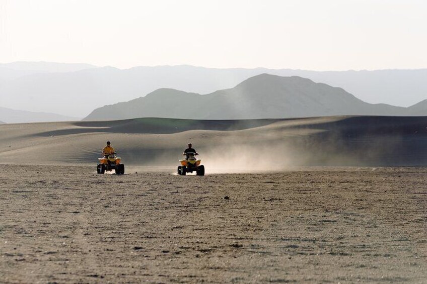 Quad and Dromedary with Dinner Show in Agafay Desert