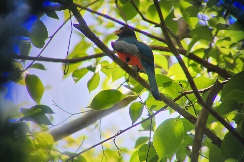 Private Tour in Curú National Park With Transportation