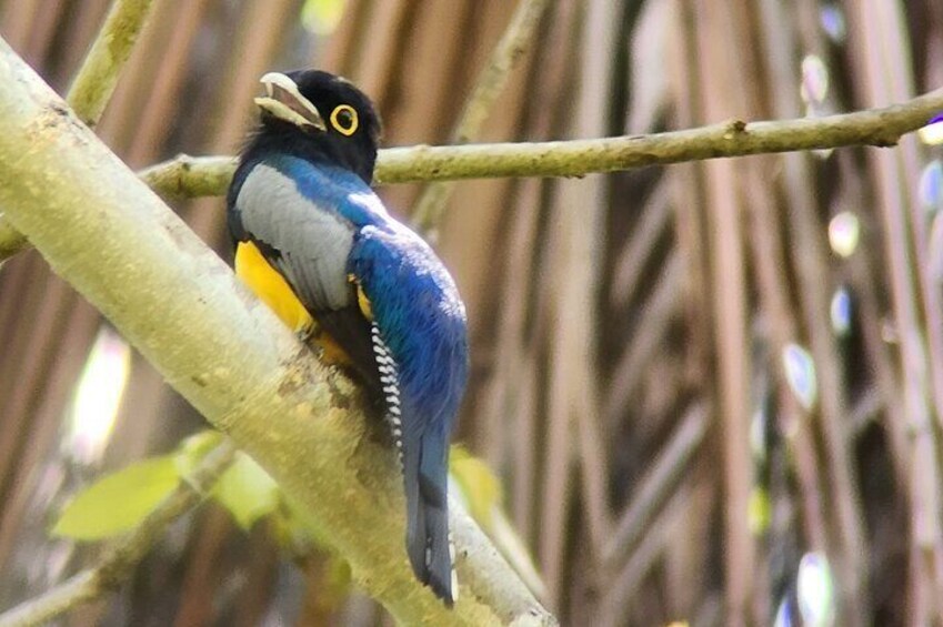 Private Tour in Curú National Park With Transportation